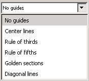 Guides