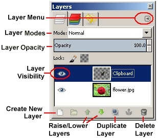 Layer Palette