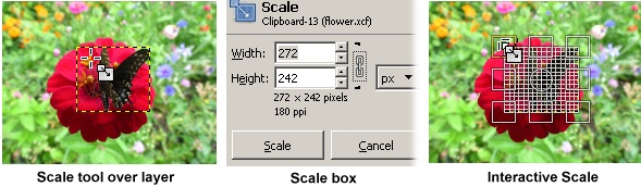 Scaling and image