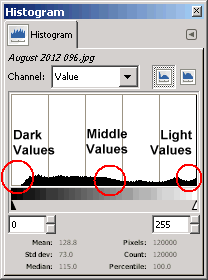 Histogram